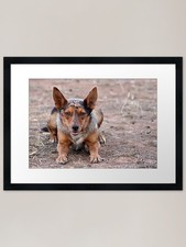 Listing image for On your marks.... Framed Art Print Framed Wall Art Poster Canvas Print Picture