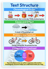 Listing image for Text Structure Educational Poster 12x18