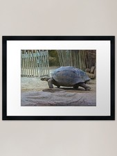 Listing image for On your marks, get set......GO Fram Framed Wall Art Poster Canvas Print Picture